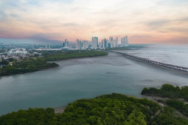Un nuevo parque en la ciudad: ¿por qué todos hablan de Coco del Mar en 2025?