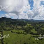 Se vende finca ganadera en margarita de chepo