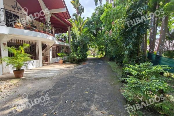 Sale of house in albrook