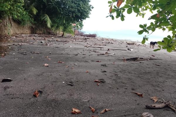 Terreno 69 hectareas en puerto armuelles, limones oportunidad de inversión