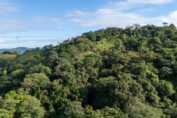 Increíble propiedad en venta en mountain ridge