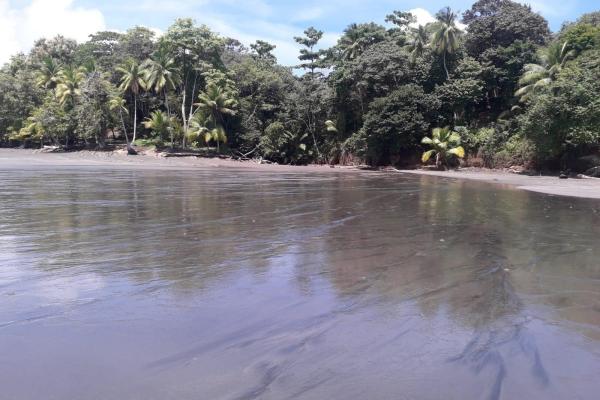 Land 172 acres in puerto armuelles, limones io
