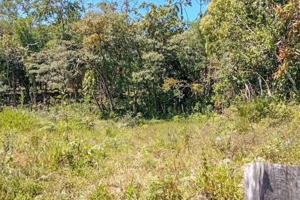 22 hectares with creek and mountain views
