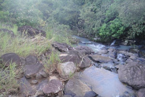 Ocean-view riverfront land-40.66 ha in san carlos
