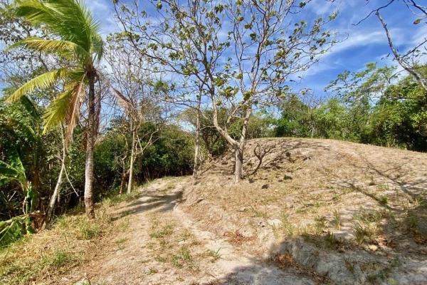 Finca de 4.3 hectareas – proyecto ideal comunidad