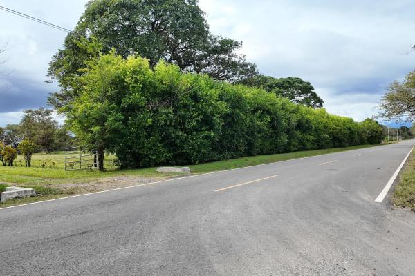 Prime flat land for sale in cochea abajo, david
