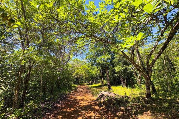 Amplio terreno de 59.086 m² en síndigo, caldera