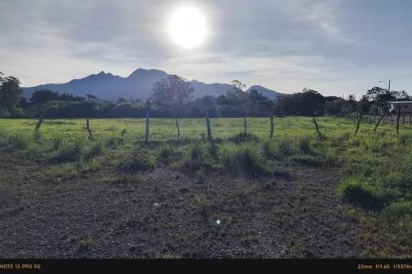 Terreno plano frente a la carretera en venta en volcán