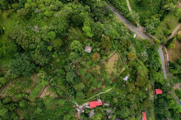 Cabaña con vistas al volcán barú en venta en jaramillo