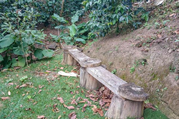 Cabaña con vistas al volcán barú en venta en jaramillo