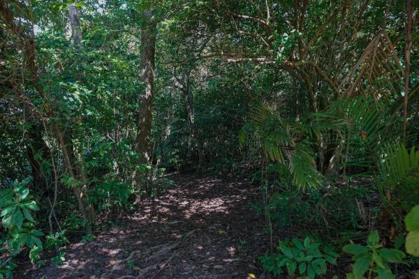 2-hectare beachfront property