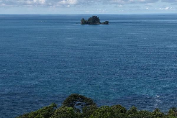 Vista de ensueño del mar y la jungla de drago