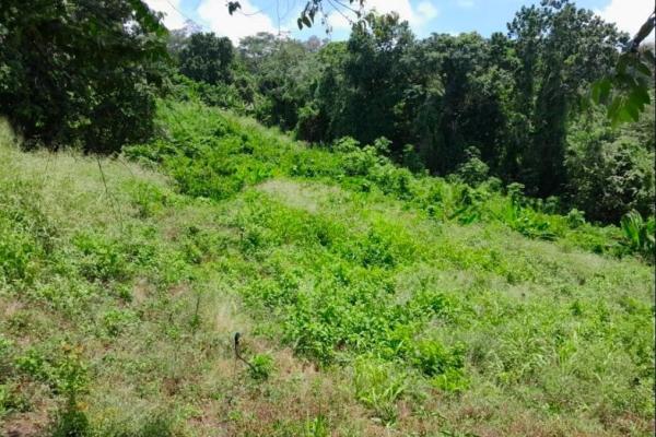 3+ ha in capira