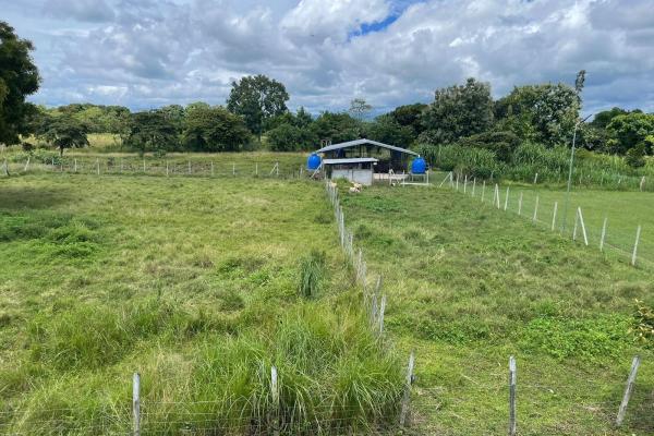 Beautiful 4.5 ha farm in el chirú, antón