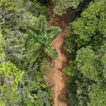 Terreno en venta cerro azul