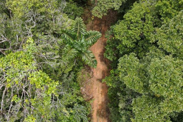 Terreno en venta cerro azul