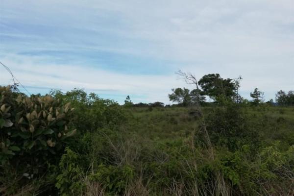 Amplios 5 hectáreas en venta en alto boquete