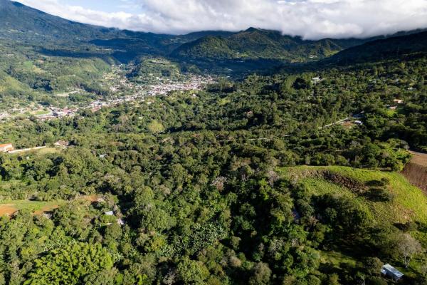 Finca de café y aguacate de boquete con vistas al volcán barú