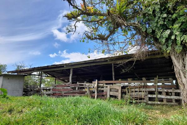 Expansive 146.652 ha property with water sources