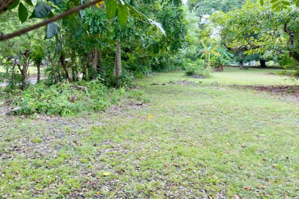 Venta de terreno en gorgona