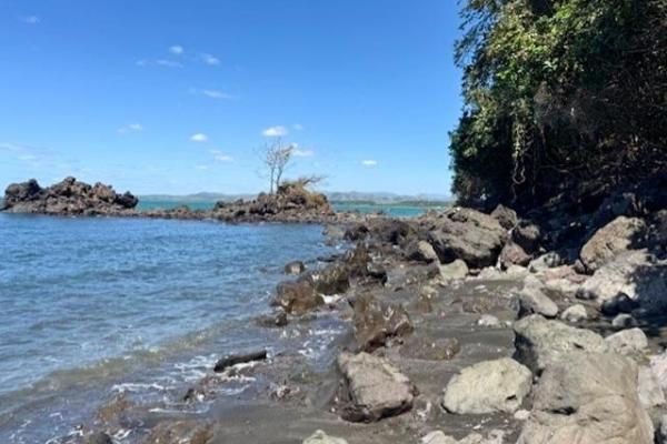 67-hectare oceanfront sanctuary in arena, veraguas