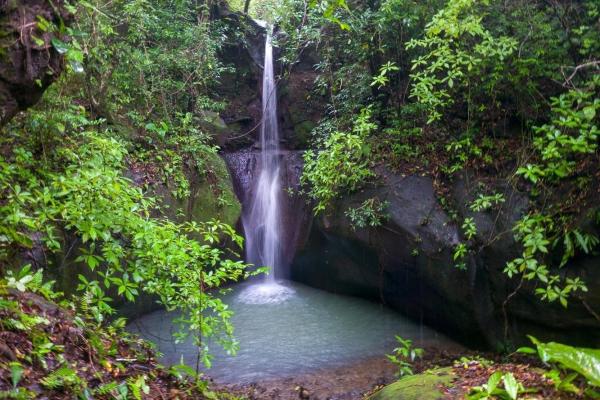Amazing property for sale with private waterfalls