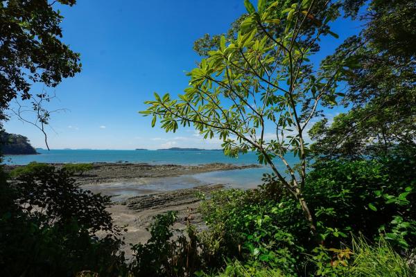 2-hectare beachfront property