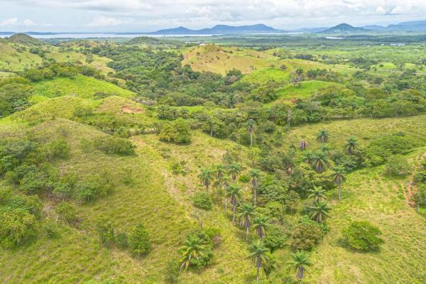6-hectare hill property for sale in boca chica
