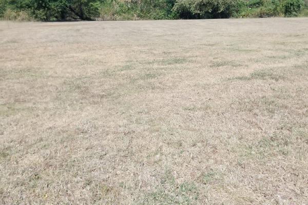 Venta de terreno en punta barco village
