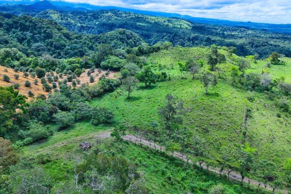 55.74 hectares of paradise in the mountains