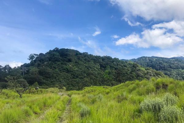 Serene flat land for sale with mountain views