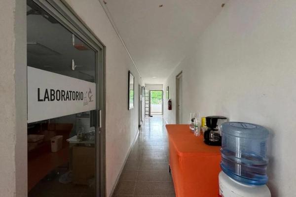 Commercial property for rent, hato pintado