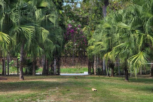 Se vende casa con plantación en nueva gorgona, chame