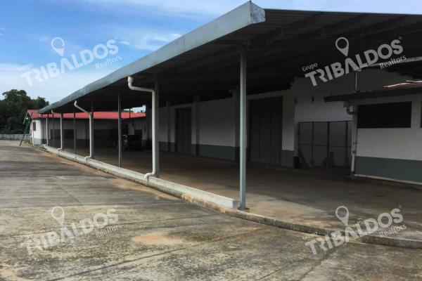 Terreno de 1.2 hectáreas, con 2 galeras, vía tocumen.