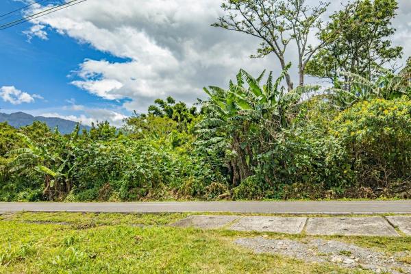 Flat coffee land with mountain views in palmira