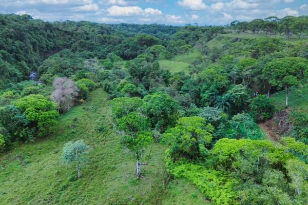 Naturaleza, espacio y potencial en un solo lugar