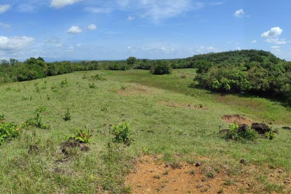 Investor opportunity: high-growth area in veraguas
