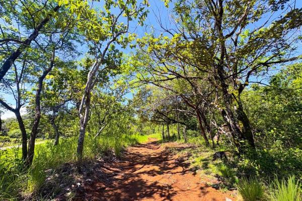 Spacious 59,086 m² land in síndigo, caldera