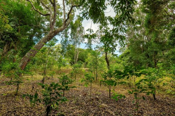 Terreno panorámico en boquete, panamá