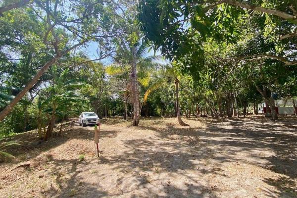 Finca de 4.3 hectareas – proyecto ideal comunidad