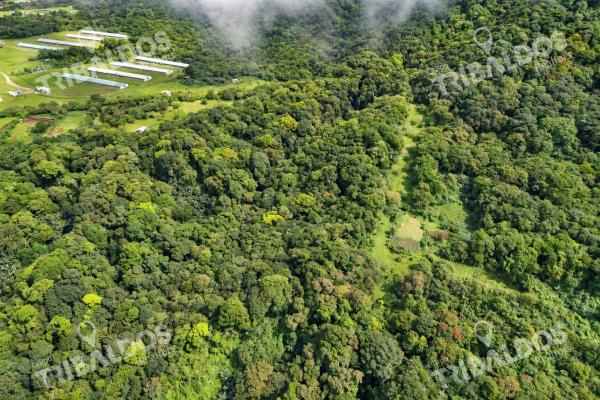Ecotourism land for sale from el valle de antón