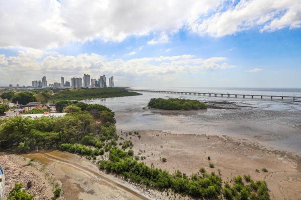 Apartment for sale in coco del mar oceanfront