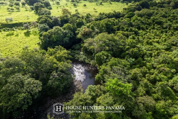 Terreno urbanizable de 11 hectáreas en venta - bagalá, panamá