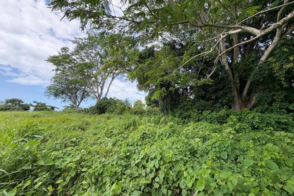 +9 hectares of flat beachfront land for sale