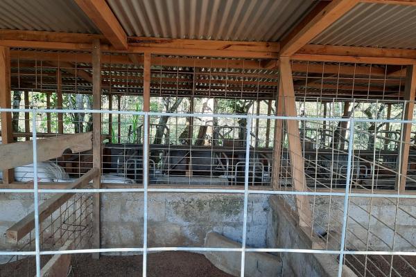 Finca agrícola en venta en renacimiento, monte lirio, palmarito.