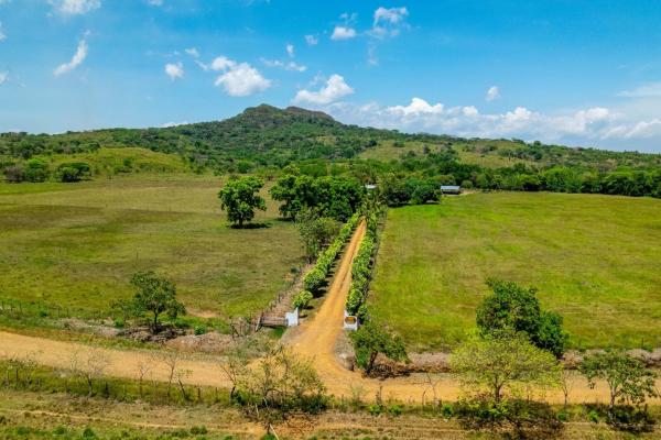 Finca lechera moderna de 350 hectáreas en san lorenzo