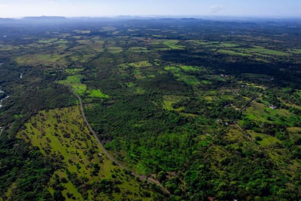 10 hectares for sale in caldera boquete