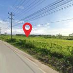 Land for sale in mañanitas
