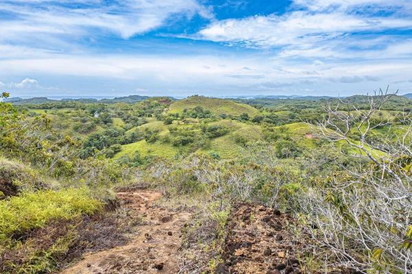 6-hectare hill property for sale in boca chica