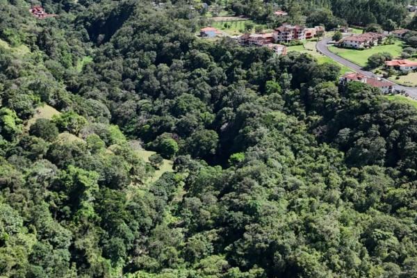Terreno de 6,9 ha junto a boquete country club — venta de globo entero